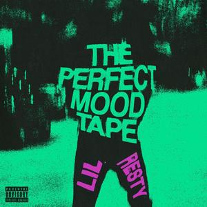 THE PERFECT MOOD TAPE (Explicit)