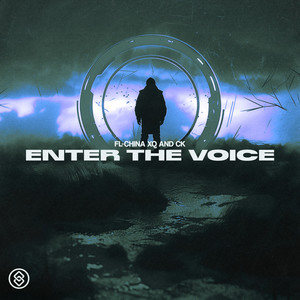 Enter The Voice