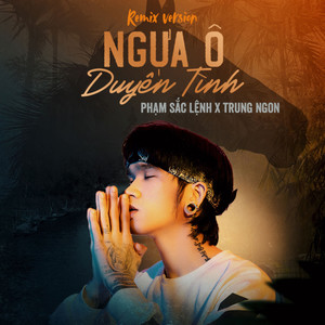 Ngựa Ô Duyên Tình (Remix)