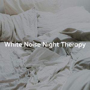 Night Therapy Noise