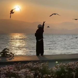 自由才是我的主旋律