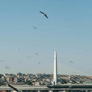 Chase a checc - Crack of Dawn (Explicit)