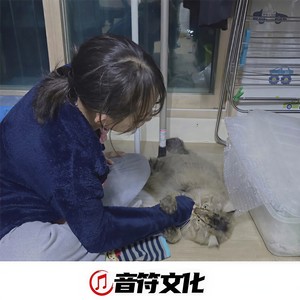 人什么的最麻烦了封面
