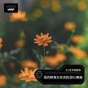 我的眼角为你流的泪DJ舞曲