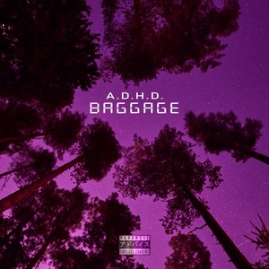 Baggage (Explicit)