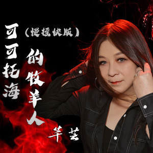 可可托海的牧羊人 (慢摇快版)