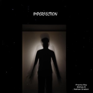 Imperfection (feat. Bibhas B & Nahian Srabon)