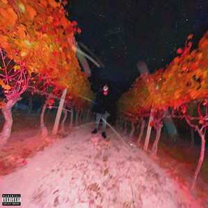 For The Streets (Explicit)