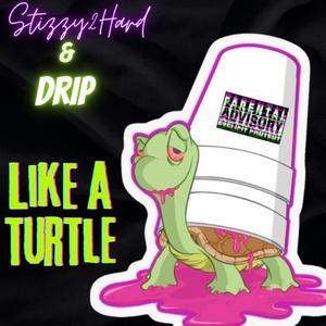 Like a Turtle (feat. Drip) (Explicit)