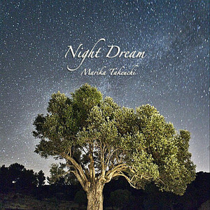 Night Dream