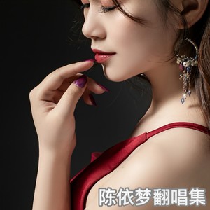 除了你 (伴奏)封面