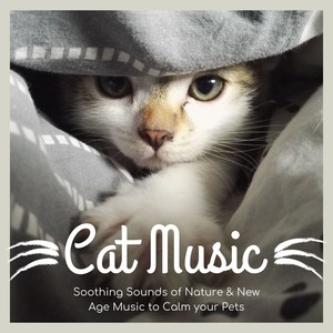 Cat Music: Soothing Sounds of Nature & New Age Music to Calm your Pets