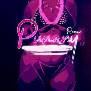 Punany (Remix) [Explicit]