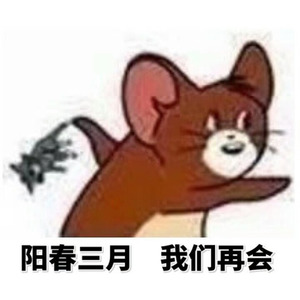 骚年，单身是美德啊