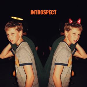 Introspect (Explicit)