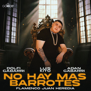 No Hay Más Barrotes