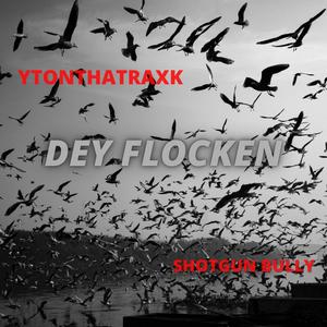 Tyler Keys - Dey Flocken (Explicit)