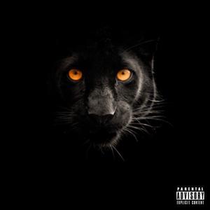 I'm So Playa(feat. Romazerati) (Explicit)