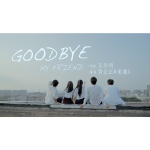 Good bye my friend