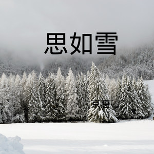 霜雪千年 (DJ版)
