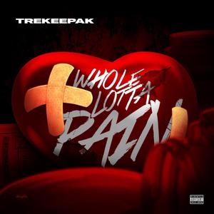 Whole Lotta Pain (Explicit)