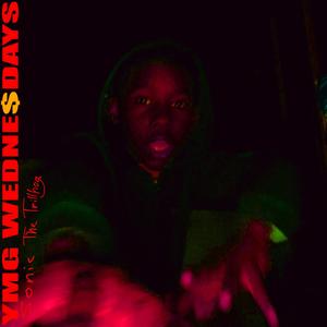 Sonic The Trillhog (Explicit)