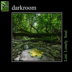 Lost Lonely Soul