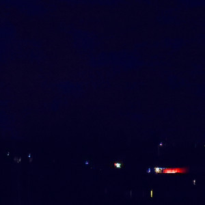 Starlight Palm Trees