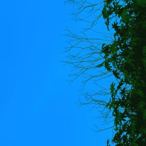 Barz 2: Player Music (Explicit)