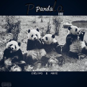 Panda (Remix)