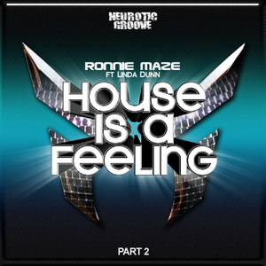 House Is a Feeling - Remixes