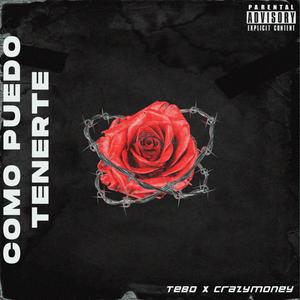 ¿Como puedo tenerte? (feat. AKA Crazy Money) [Explicit]