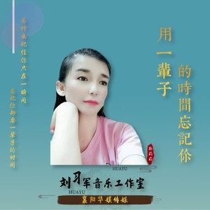 用一辈子时间忘记你封面