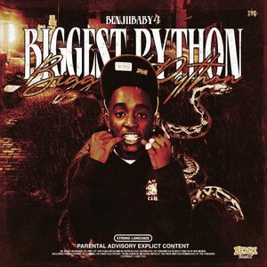 Biggest Python (Explicit)