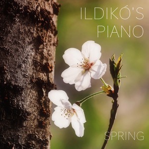 Ildikó's Piano: Spring