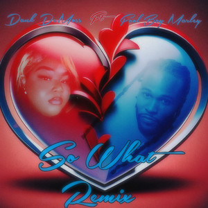 So What (Remix|Explicit)