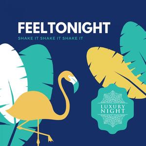 Shake It Shake It Shake It (Original Mix)