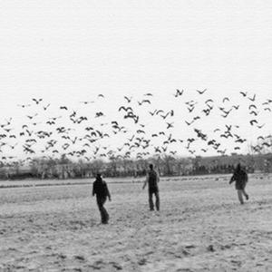 Missing Persons (feat. Anna Bean)