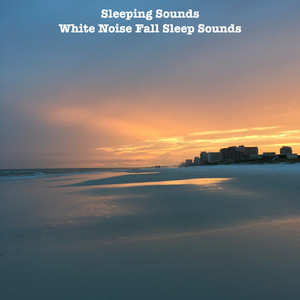 White Noise Fall Sleep Sounds