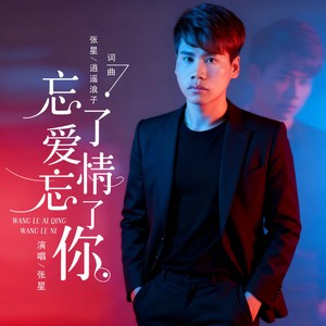 你从来不曾爱过我封面