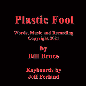 Plastic Fool