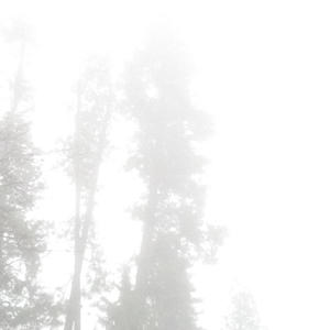 Vagabond (Explicit)