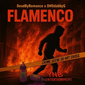 FLAMENCO (feat. DeadByRomance) (Explicit)