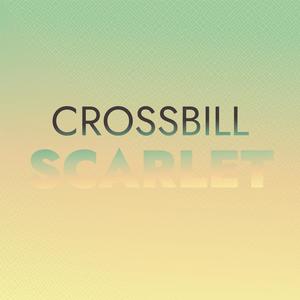 Crossbill Scarlet