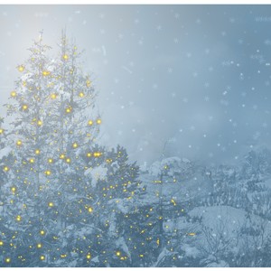 We Wish You a Merry Christmas