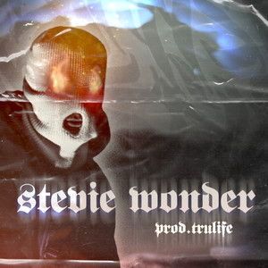 STEVIE WONDER (Explicit)