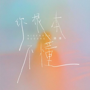 沛沛 - 你根本不懂