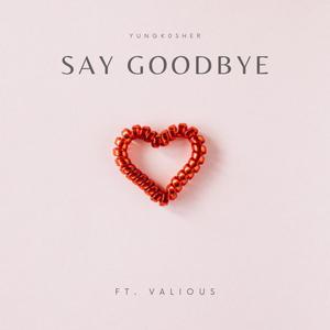 Say Goodbye (feat. Vxlious) [Explicit]