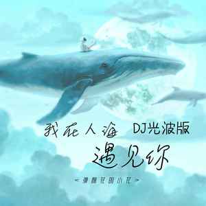 我在人海遇见你 (DJ光波版)