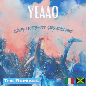 Yeaao (feat. Gary Pine) (Styrian Accordion Remix)